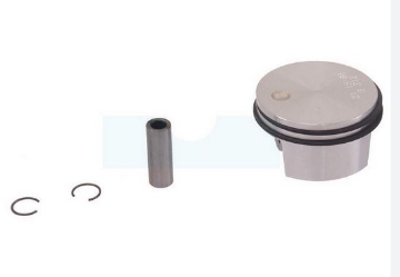 PictureAltAttribute - 41800302001-JPG